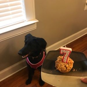 Meet your Posher, Tina